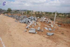 20091215 Photo 1003 1uBLWF9CuC5yoD8ml1NyLa1Ms0kmzpcuh.JPG