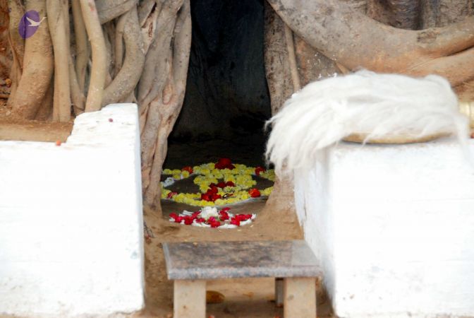 20091216DSC 8414 CMP WM001.jpg