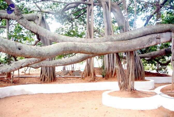 20091216DSC 8418 CMP WM001.jpg