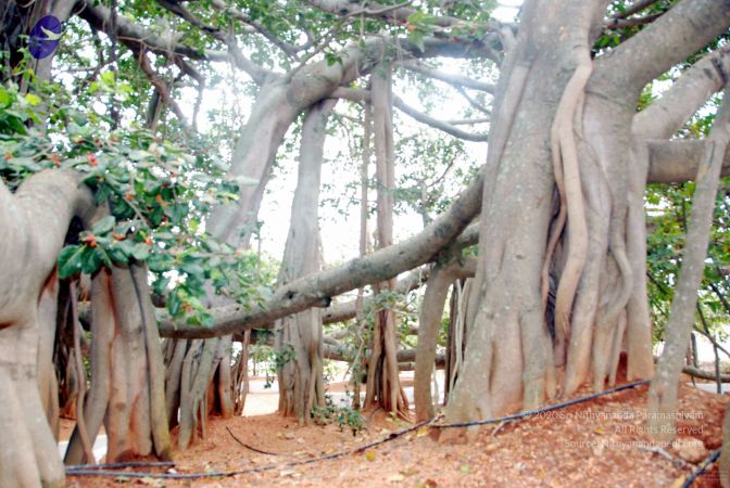 20091216DSC 8423 CMP WM001.jpg