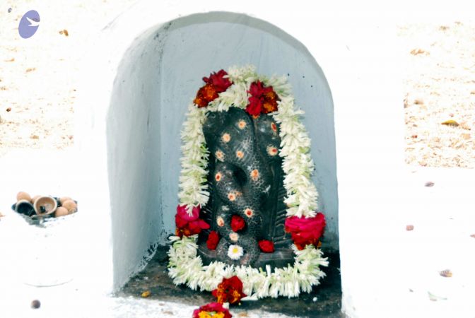 20091216DSC 8424 CMP WM001.jpg