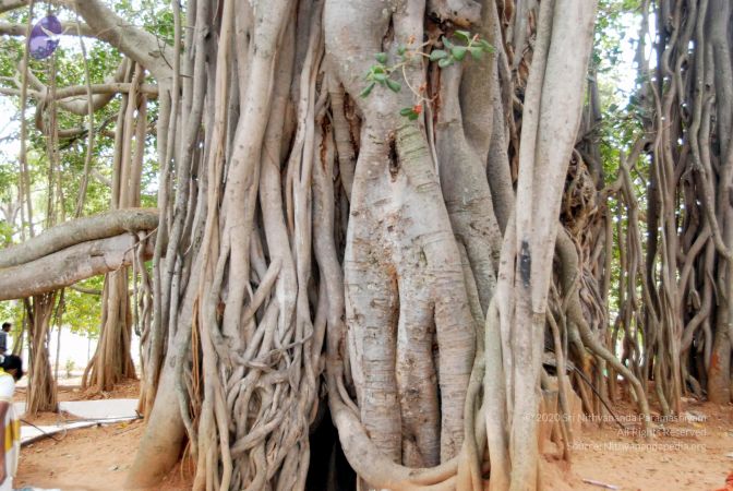 20091216DSC 8454 CMP WM001.jpg