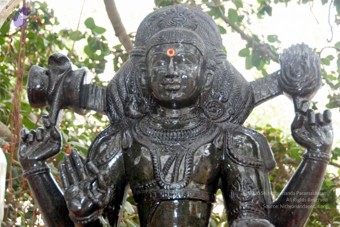 20091216DSC 8462 CMP WM001.jpg