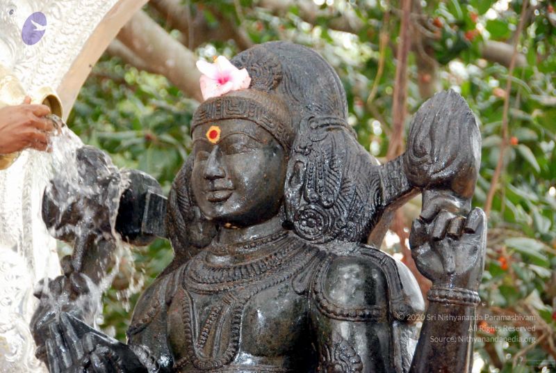 File:20091216DSC 8474 CMP WM001.jpg