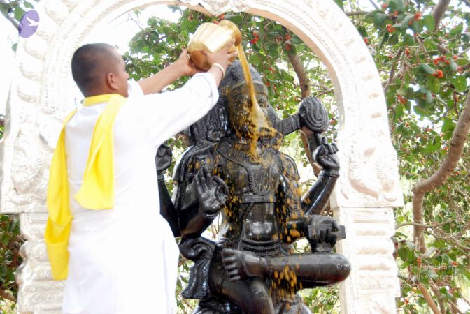 20091216DSC 8478 CMP WM001.jpg