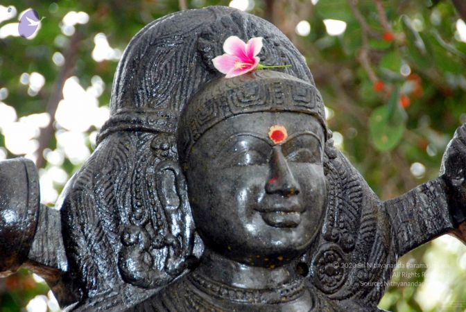 20091216DSC 8485 CMP WM001.jpg