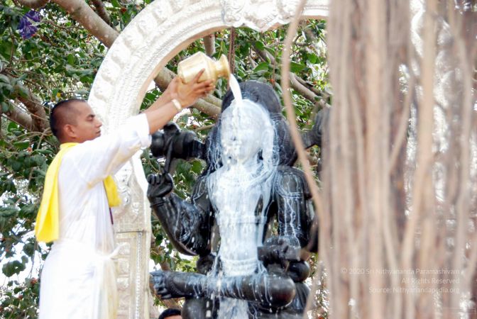 20091216DSC 8497 CMP WM001.jpg