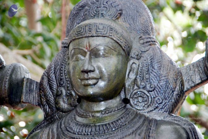 20091216DSC 8505 CMP WM001.jpg