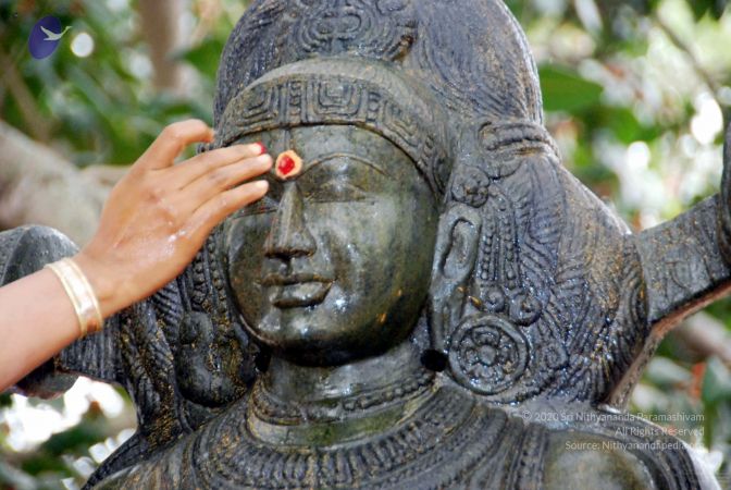 20091216DSC 8509 CMP WM001.jpg