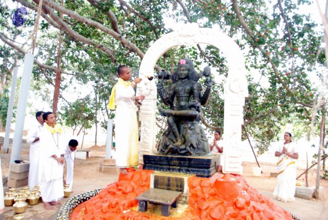 20091216DSC 8511 CMP WM001.jpg