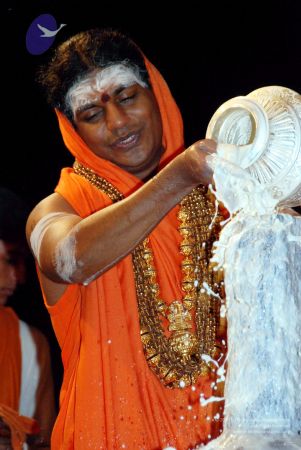 20091216DSC 8671 CMP WM001.jpg