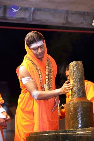 20091216IMG 2686 CMP WM001.jpg