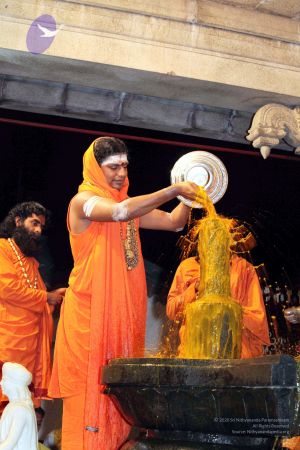 20091216IMG 2696 CMP WM001.jpg