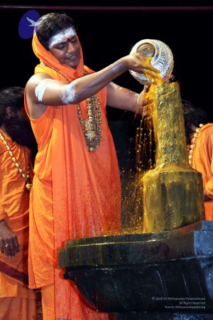 20091216IMG 2700 CMP WM001.jpg