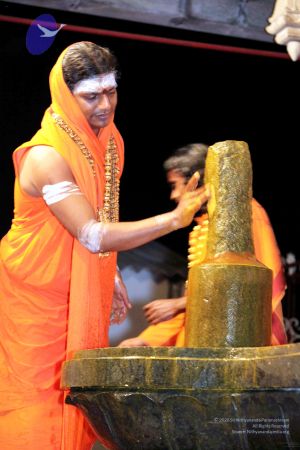 20091216IMG 2709 CMP WM001.jpg