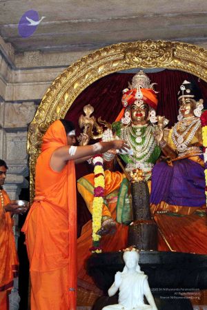 20091216IMG 2737 CMP WM001.jpg