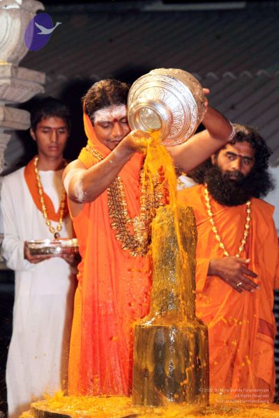 File:20091216IMG 2756 CMP WM001.jpg