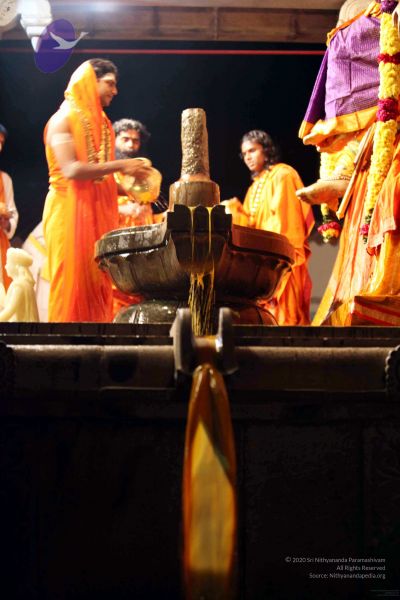 File:20091216IMG 2772 CMP WM001.jpg