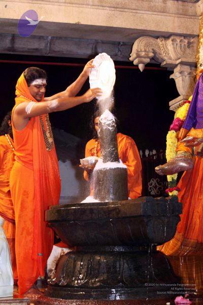 File:20091216IMG 2786 CMP WM001.jpg