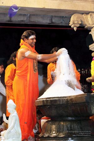 20091216IMG 2806 CMP WM001.jpg