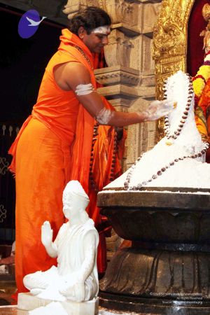 20091216IMG 2817 CMP WM001.jpg