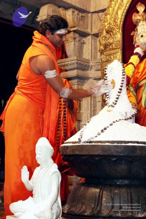 20091216IMG 2818 CMP WM001.jpg