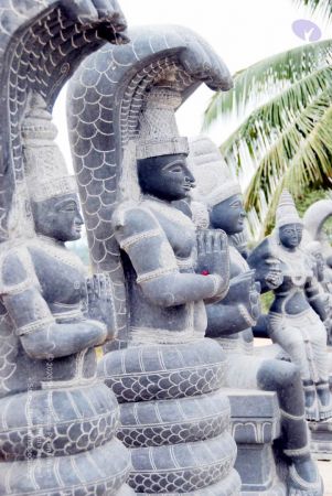 20091217 DSC 8801 CMP WM 11.jpg