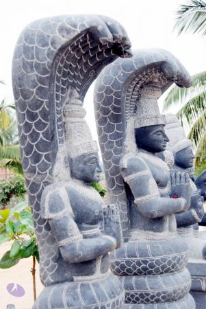 20091217 DSC 8803 CMP WM 11.jpg