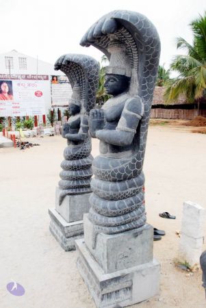 20091217 DSC 8804 CMP WM 11.jpg