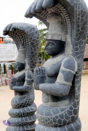 20091217 DSC 8805 CMP WM 11.jpg