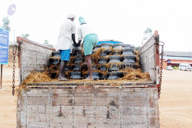 20091217 DSC 8985 CMP WM 00.jpg