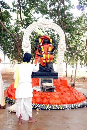 20091217 DSC 9139 CMP WM 11.jpg