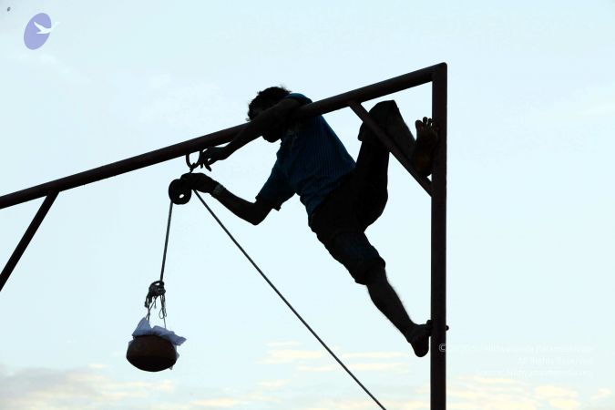 20091219IMG 3817 CMP WM001000 FIMT.jpg