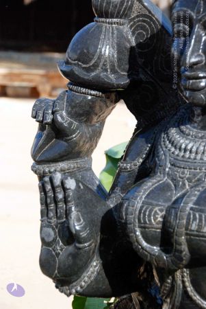 20091220DSC 0184 CMP WM001.jpg