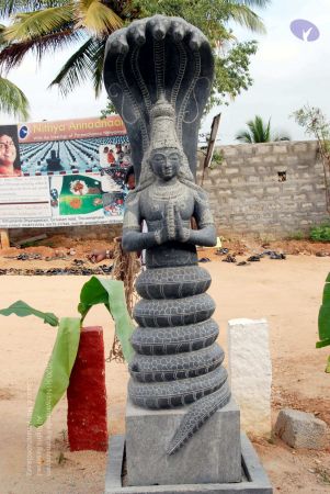 20091220DSC 9601 CMP WM001000 FIMT.jpg