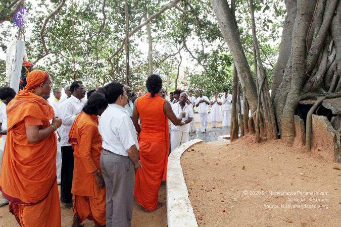 20091220IMG 4663 CMP WM001.jpg