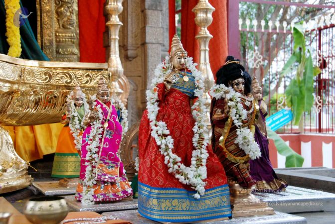 20091221DSC 0564 CMP WM001000.jpg