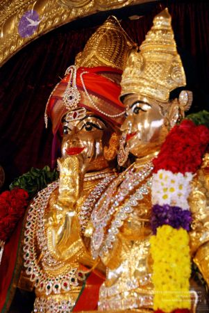 20091221DSC 0565 CMP WM001.jpg