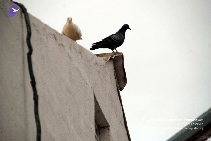 20091221DSC 0590 CMP WM001000.jpg