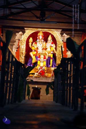 20091221DSC 0614 CMP WM001.jpg