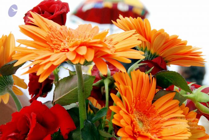 20091223DSC 1970 CMP WM001000.jpg