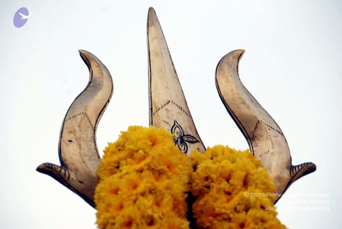 20091224DSC 2308 CMP WM001000.jpg