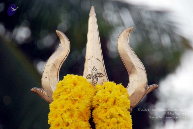 20091224DSC 2309 CMP WM001000.jpg