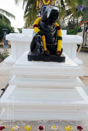 20091224DSC 2313 CMP WM001000.jpg