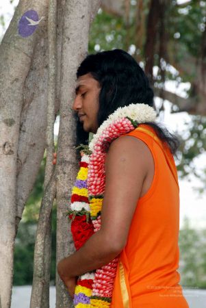 20091224DSC 2407 CMP WM001000.jpg