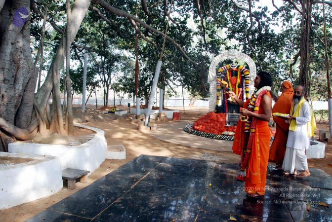 20091224DSC 2410 CMP WM001000.jpg