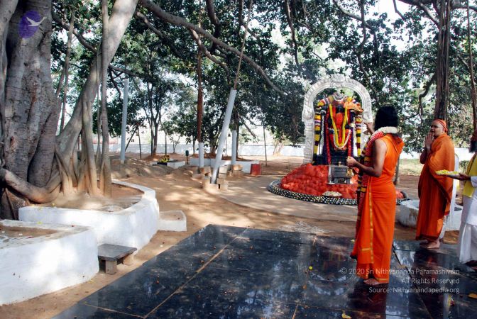 20091224DSC 2411 CMP WM001000.jpg