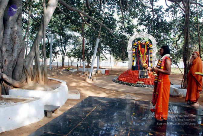 20091224DSC 2412 CMP WM001000.jpg