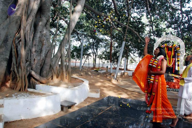 20091224DSC 2415 CMP WM001000.jpg