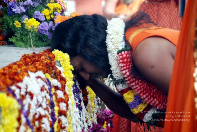 20091224DSC 2417 CMP WM001000.jpg